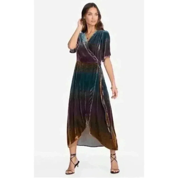 Johnny Was Dresses & Skirts - NWOT JOHNNY WAS Ombre Cheetah Print Velvet Midi Silk Wrap Dress Size XS